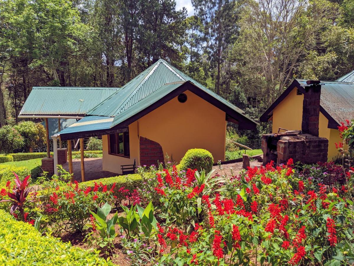 Lawns Hotel Lushoto Exteriér fotografie